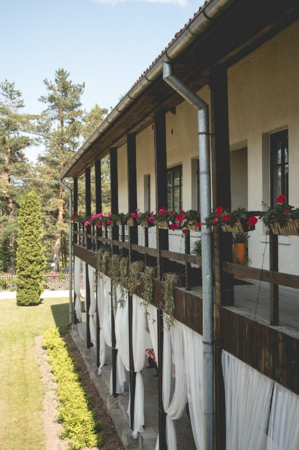 Hotel Akmens Stasti / Stone Stories Kaltene Exteriér fotografie